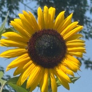 Meet your Posher, Mysty